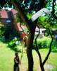 Trzonek Teleskopowy ZM-V3 170-300 cm – Multi-Star Wolf Garten