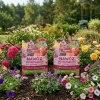 Nawóz do roślin kwitnących w granulkach z mączką bazaltową – do róż, piwonii, hortensji, magnolii i innych – 2x8 kg (ZESTAW) Vegano