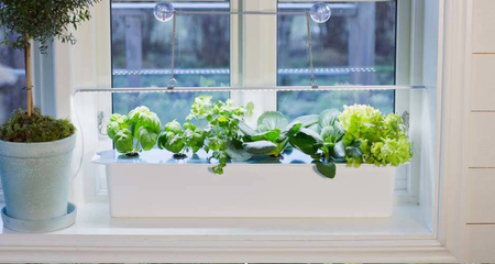 Zawieszenie Do Lamp LED Z Przyssawkami – 40 cm Nelson Garden