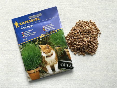 Trawa Dla Kota – Kiepenkerl
