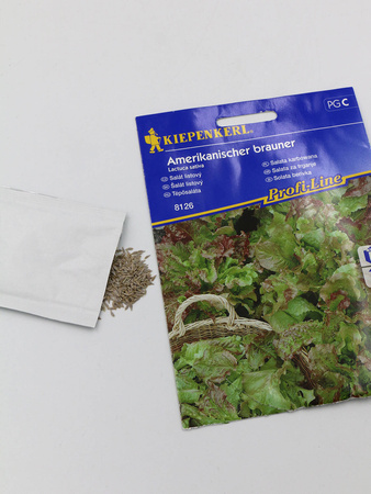 Sałata Karbowana 'Amerikanischer Brauner' – Kiepenkerl
