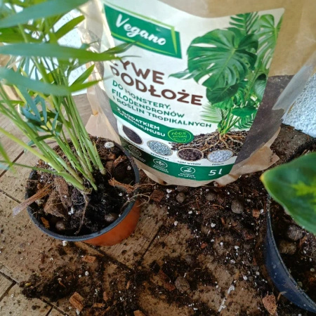 Żywe podłoże do monstery, filodendronów i roślin tropikalnych z dodatkiem Wermihumusu Vegano - 5 l 