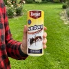 Ants Control – Granulat Na Mrówki – 500 g Target Tuba