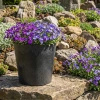 Doniczka czarna OCTAVIA 30x28cm Multy Home