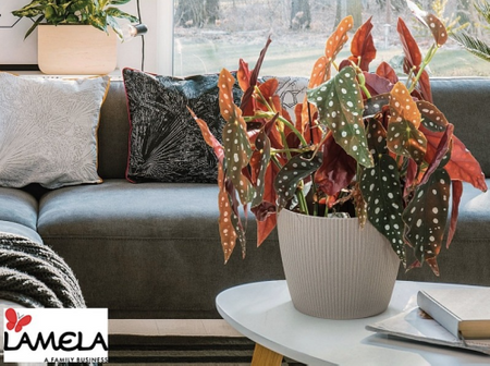 Osłonka Doniczka Ø260 mm Magnolia Eco Wood Jumper – Naturalne Drewno – Lamela