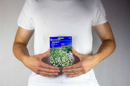 Rumianek – Leczniczy – Kiepenkerl