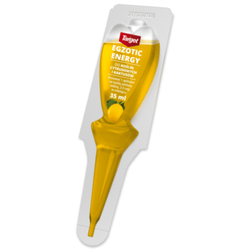 Egzotic Energy odżywka do cytrusów i kaktusów – 35 ml Target