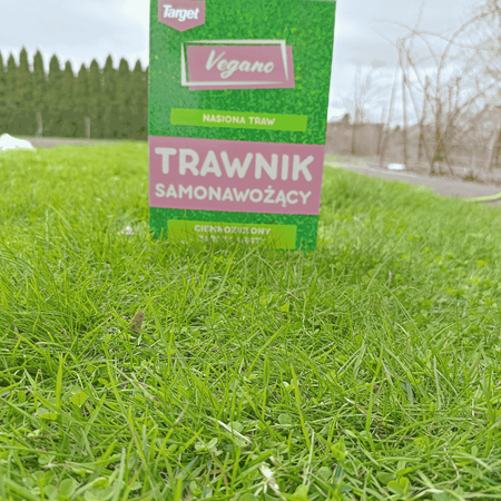 Trawnik samonawożący – nasiona traw z mikrokoniczyną 1 kg Vegano