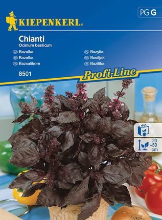 Bazylia 'Chianti' – Purpurowa – Kiepenkerl