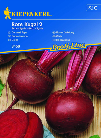 Burak ćwikłowy 'Rote Kugel 2' – Okrągły – Kiepenkerl