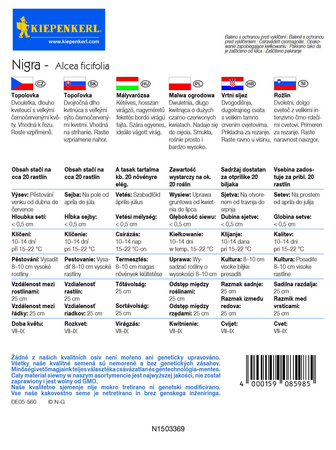 Malwa Ogrodowa 'Nigra' – Kiepenkerl