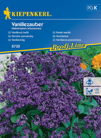 Heliotrop Peruwiański 'Vanillezauber' – Kiepenkerl