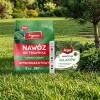 Wysokoazotowy nawóz Vegano 8 kg + nawóz do iglaków Target 1 kg (ZESTAW)