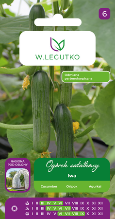 Ogórek Szklarniowy Iwa 1 g Legutko