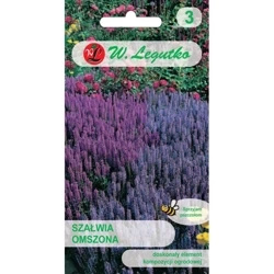 Szałwia Omszona – 0,10 g Legutko