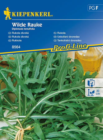 Rukola 'Wilde Rauke' – Odporna – Kiepenkerl