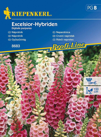 Naparstnica 'Excelsior' – Dwuletnia – Kiepenkerl