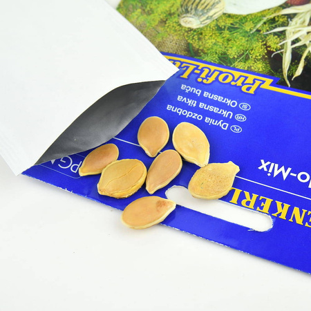 Dynia 'Hokkaido' – Mix – Kiepenkerl