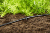 Linia Kroplująca Zestaw L – 50 m Gardena