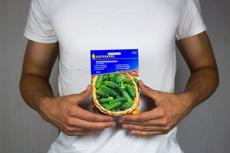 Ogórek 'Vorgebirgstrauben' – Konserwowy – Kiepenkerl