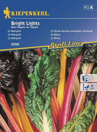 Burak liściowy 'Bright Lights' – Boćwina – Kiepenkerl