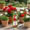 Nawóz do pelargonii w płynie – wzmacnia wybarwienie kwiatów – 1 l Target