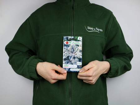 Jarmuż ‘Scarlet’ – 1 g Legutko