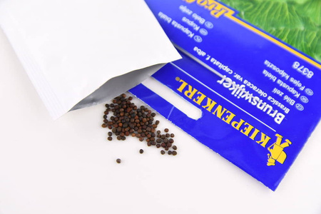 Kapusta Głowiasta Biała 'Brunswijker' – Kiepnekerl