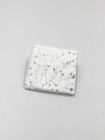 Sałata Siewna Fitness Mix – Na Taśmie – Kiepenkerl