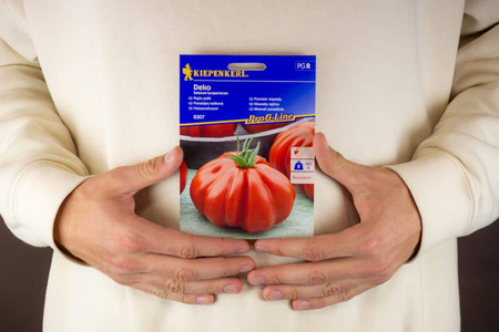 Pomidor Mięsisty 'Deko' F1 – Kiepenkerl