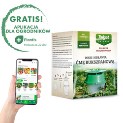 Pułapka Feromonowa Na Ćmę Bukszpanową