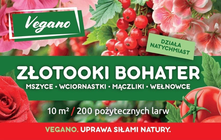 Złotooki bohater Vegano – 200 larw na mszyce, wciornastki, mączliki i wełnowce – 10 m² ochrony