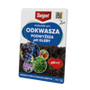 Podłoże pH+ – Odkwasza i Podwyższa pH Gleby – 100 ml Target