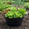 Doniczka czarna OCTAVIA 30x15cm Multy Home