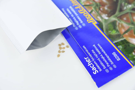 Pomidor Sałatkowy 'Sacher' F1 – Ciemny – Kiepenkerl