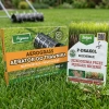 Aerograss biologiczny aerator do trawnika – 50 g Vegano + P-drakol regeneruje trawnik – 20 g Target (ZESTAW)