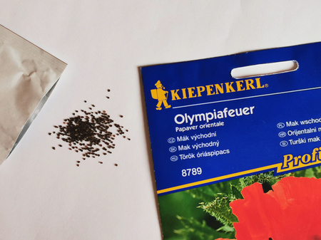 Mak wschodni 'Olympiafeuer' - Nasiona - Kiepenkerl