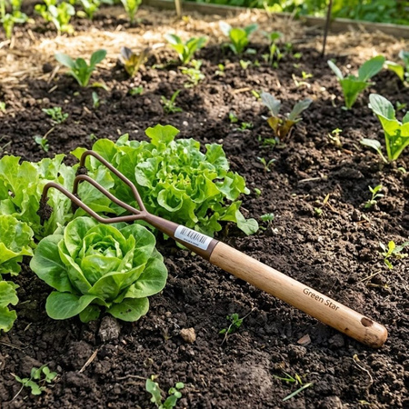 Pazurki ręczne z drewnianą rączką Pro Natura – Green Star