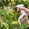 Naturalny oprysk na szkodniki i choroby roślin – środek 2w1 na mszyce, przędziorki, mącznika i szarą pleśń – Vegano 1 l