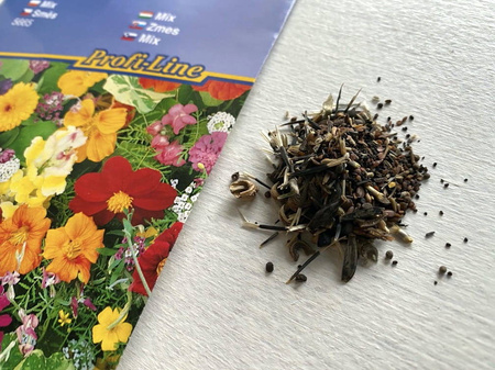 Kwiaty Szybko Rosnące – Mix Nasion – Kiepenkerl