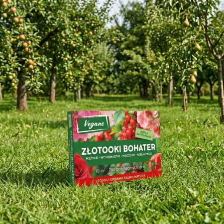 Złotooki bohater Vegano – 400 larw na mszyce, wciornastki, mączliki i wełnowce – 20 m² ochrony