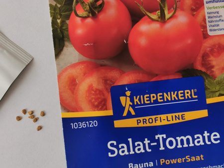 Pomidor sałatkowy 'Bauna' F1 - Nasiona Otoczkowane - Kiepenkerl