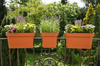 Donica Balustradowa Lobelia 45 cm – Mokka – Lamela