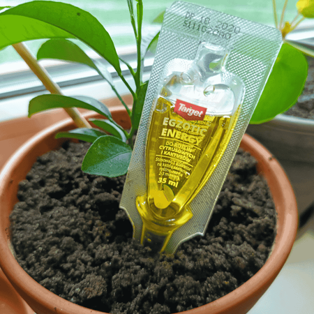 Odżywka Do Cytrusów i Kaktusów – Egzotic Energy – 35 ml Target