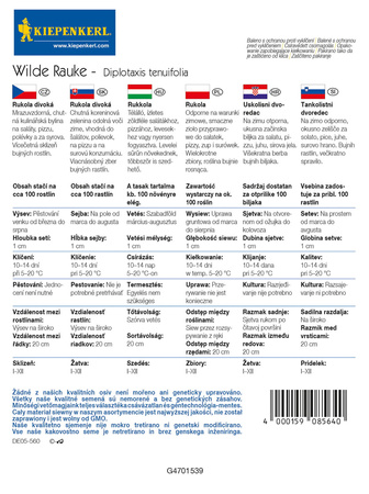 Rukola 'Wilde Rauke' – Odporna – Kiepenkerl