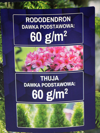 Osmocote 2w1 nawóz do iglaków – długodziałający (6 miesięcy) – 10 kg Substral