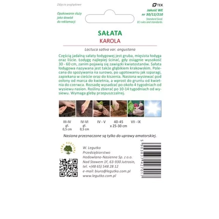 Sałata Łodygowa Czerwona Karola – 0,5 g Legutko