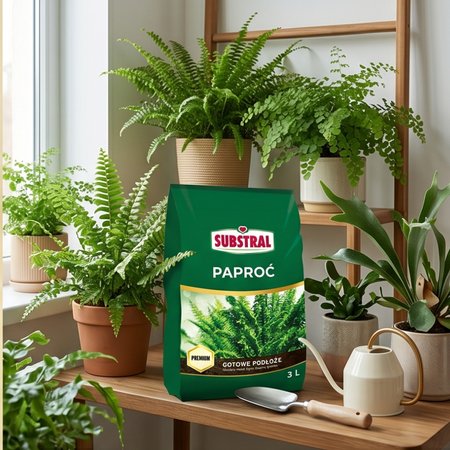 Podłoże do paproci – ziemia do paprotek – 3 l Substral (Zestaw 2 szt.)