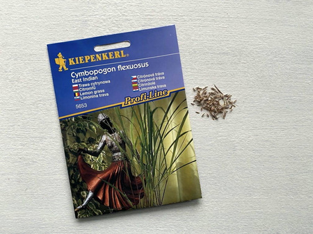 Trawa cytrynowa 'East Indian' – Całoroczna – Kiepenkerl