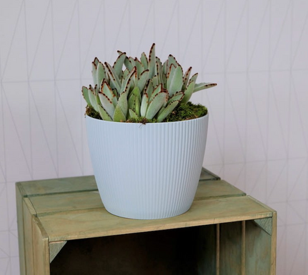 Osłonka Doniczka Ø220 mm Magnolia Eco Wood Jumper – Naturalne Drewno – Lamela